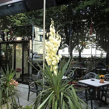 酒店 阿里斯顿酒店